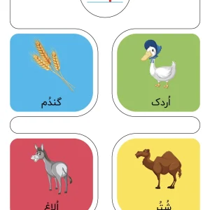 مجموعه کارت نشانه های فارسی دبستان