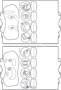 کاربرگ نشانه های (م-س) فارسی اول دبستان کاربرگ نشانه های (او-ت) فارسی اول دبستان