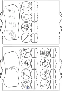 کاربرگ نشانه های (ای-ز) فارسی اول دبستان