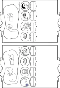 کاربرگ نشانه های (م-س) فارسی اول دبستان کاربرگ نشانه های (م-س) فارسی اول دبستان