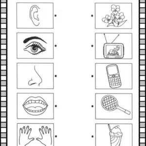 کاربرگ های ارتباط یابی بین اشکال پیش دبستان