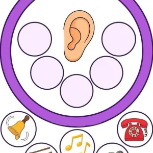 کاربرگ واحدکار تشخیص شنوایی