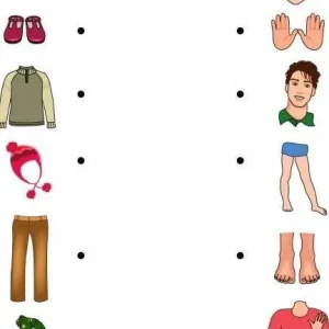 کاربرگ پوشش مناسب برای بخش‌های مختلف بدن