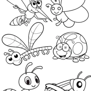 واحدکار حشرات برای پیش دبستانی