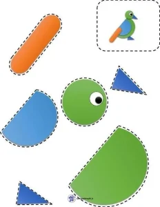 اربرگ اعضای بدن پرندگان