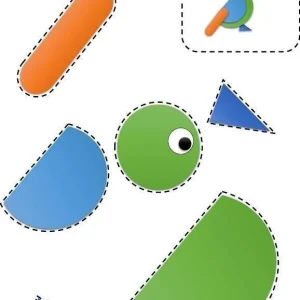 اربرگ اعضای بدن پرندگان