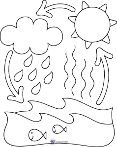 کاربرگ چرخه آب و مراحل تشکیل باران