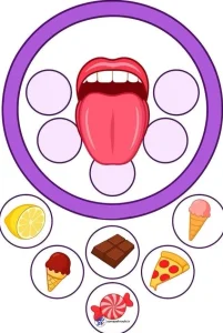 کاربرگ واحدکار تشخیص چشایی