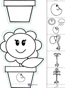 کاربرگ واحد کار گیاهان پیش دبستانی