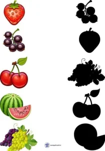 کاربرگ سایه میوه ها