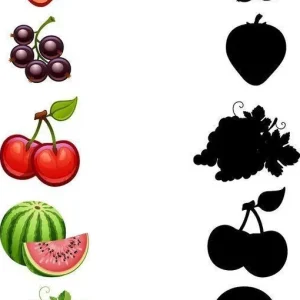 کاربرگ سایه میوه ها