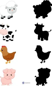 کاربرگ سایه ها پیش دبستان