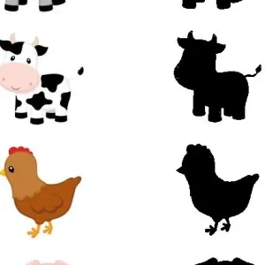 کاربرگ سایه ها پیش دبستان