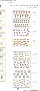 آزمون تم ۱۶ ریاضی اول دبستان