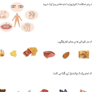 آزمون نوبت اول علوم اول دبستان