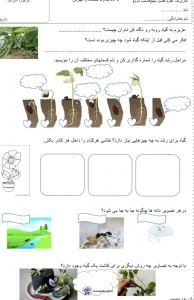 تکلیف علوم درس نهم پایه دوم دبستان