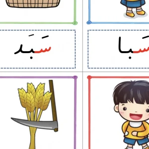 فلش کارت نشانه س اول دبستان