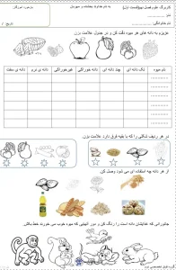 کاربرگ علوم فصل نهم پایه دوم دبستان