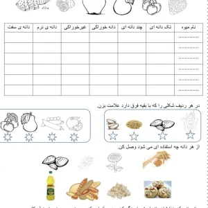 کاربرگ علوم فصل نهم پایه دوم دبستان