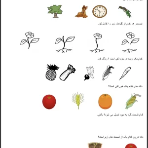 علوم پخش پنجم کلاس اول دبستان