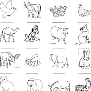 نمونه املا تصویری پایه اول ابتدایی