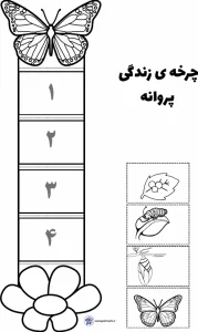 کاربرگ چرخه زندگی پروانه کلاس دوم 1 چرخه زندگی پروانه کلاس دوم