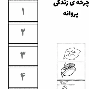 چرخه زندگی پروانه کلاس دوم