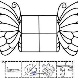 کاربرگ مراحل رشد پروانه