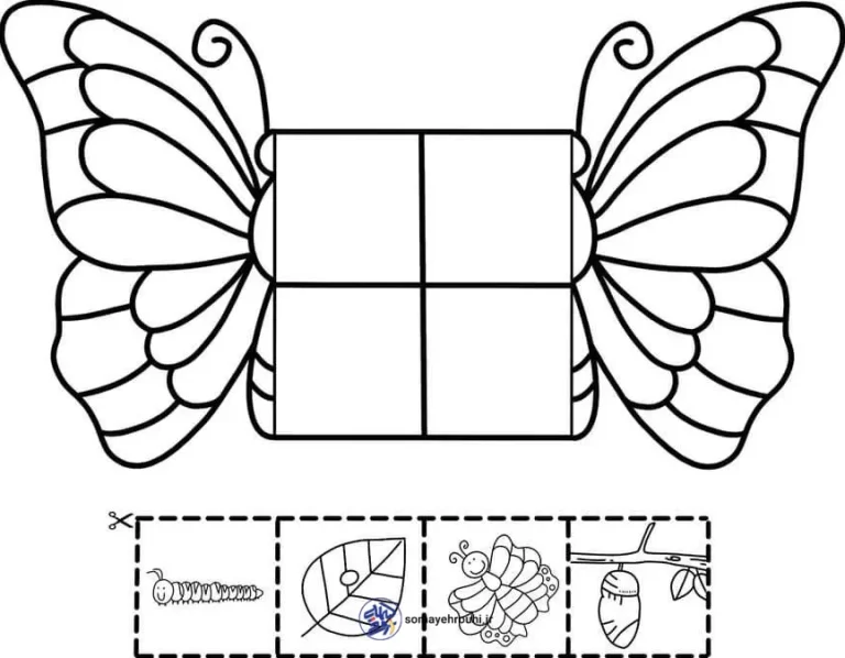 کاربرگ مراحل رشد پروانه