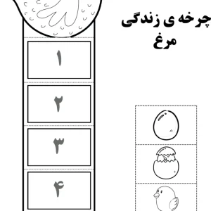 کاربرگ چرخه زندگی مرغ پیش دبستان