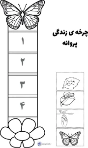 کاربرگ چرخه زندگی پروانه پیش دبستان