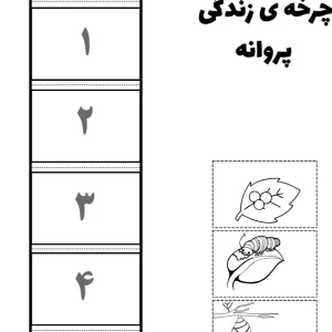 کاربرگ چرخه زندگی پروانه پیش دبستان