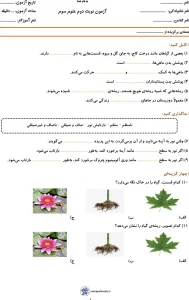 نمونه سوال علوم سوم دبستان (نوبت دوم)