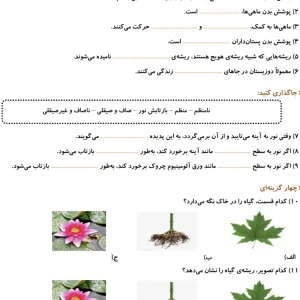 نمونه سوال علوم سوم دبستان (نوبت دوم)